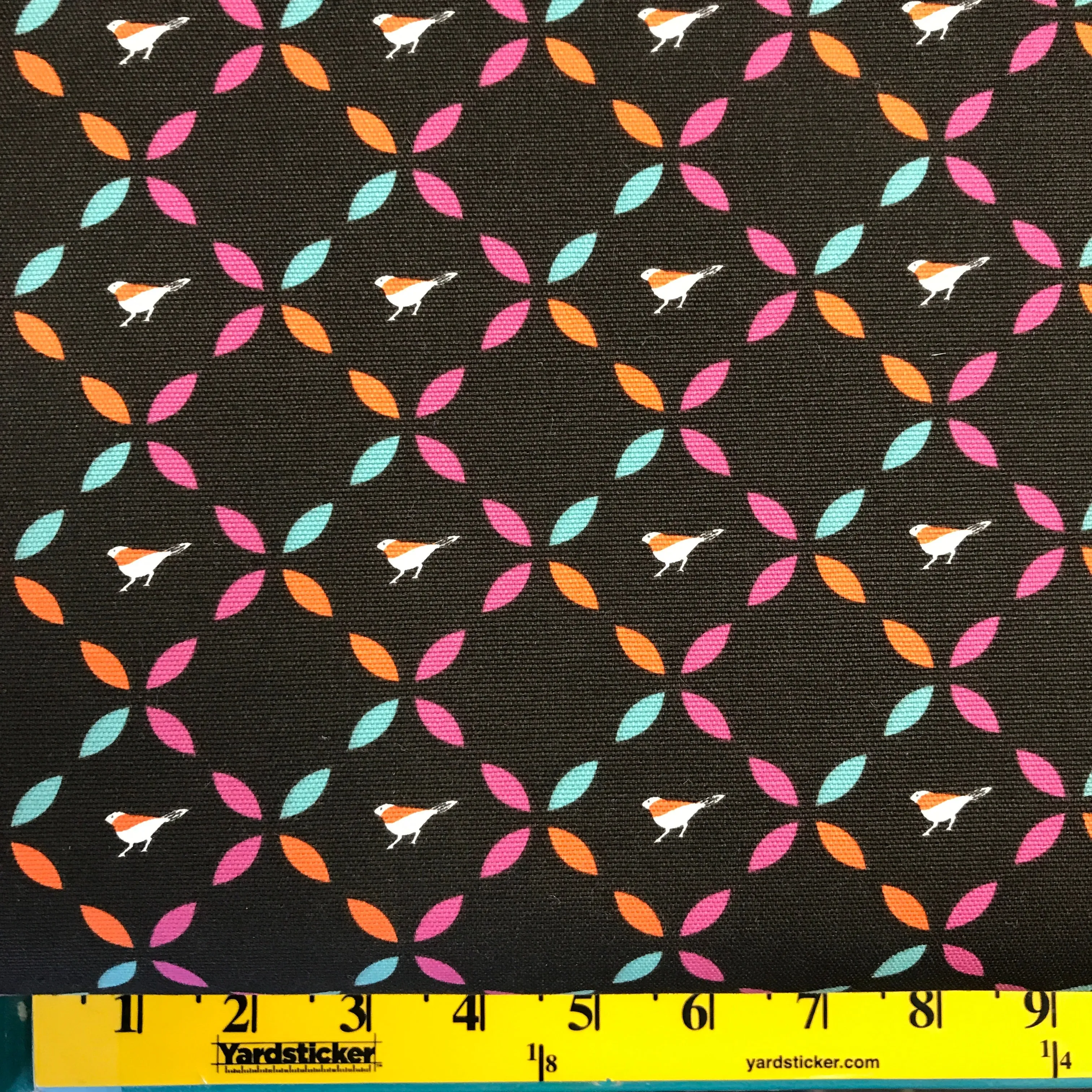 CANVAS - Bird Canvas