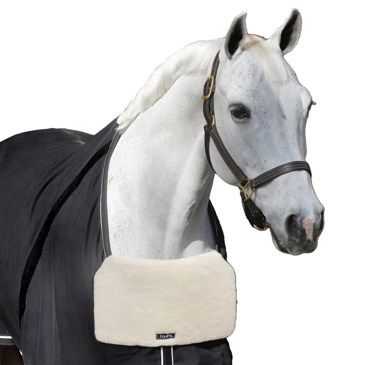 EquiFit BlanketBib