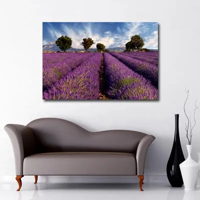 Lavender Field Art Canvas