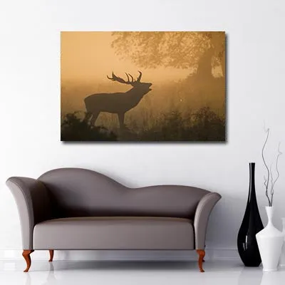 Stag At Sunrise Art Canvas
