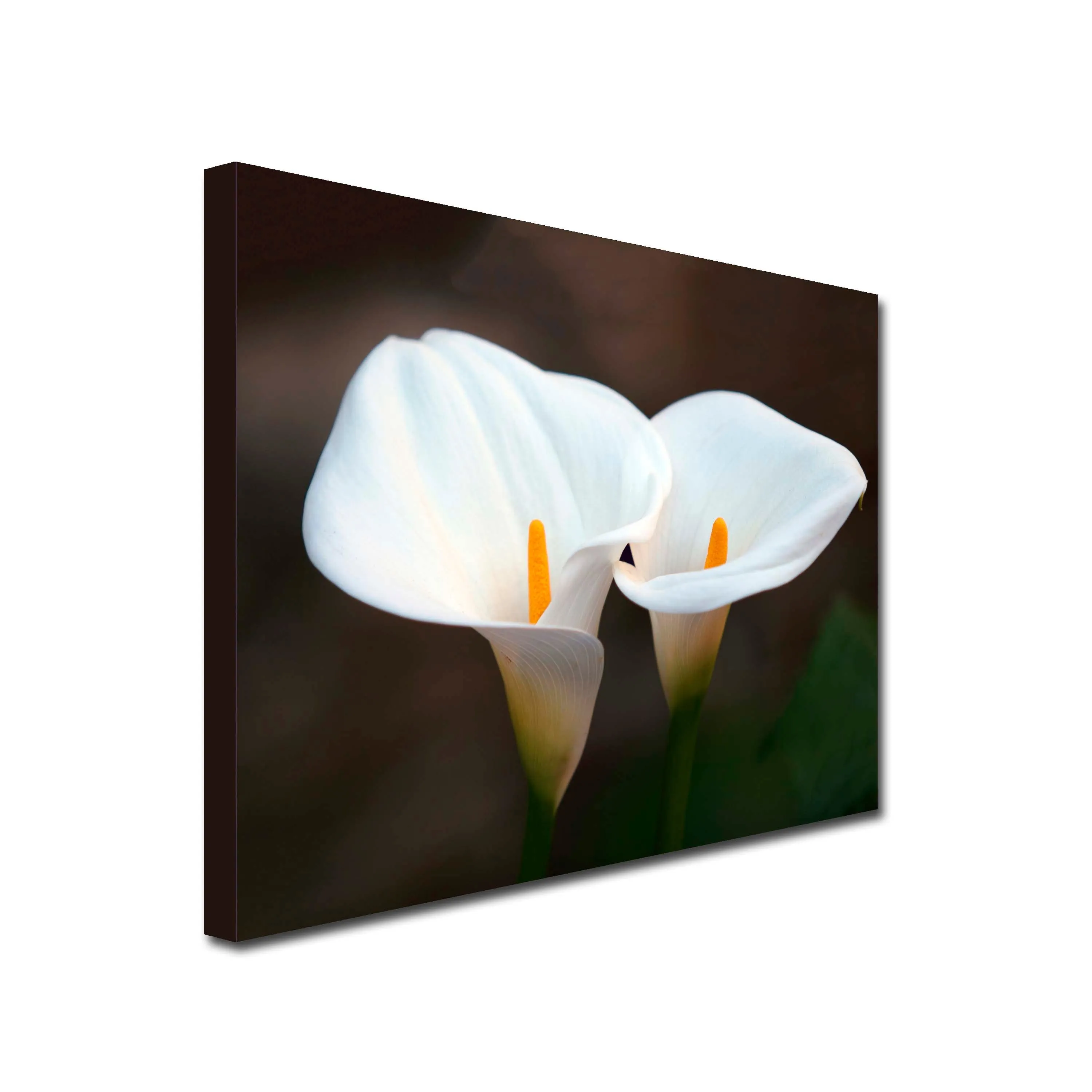 White Lily Art Canvas