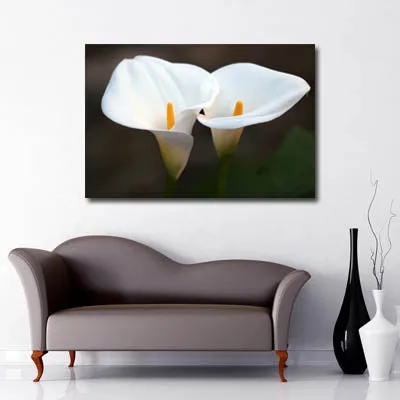 White Lily Art Canvas